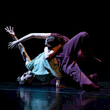 Dans in zijn puurste vorm